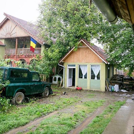 Pensiune Muzeu Traditional Poveste In Transilvania 锡吉什瓦拉 外观 照片