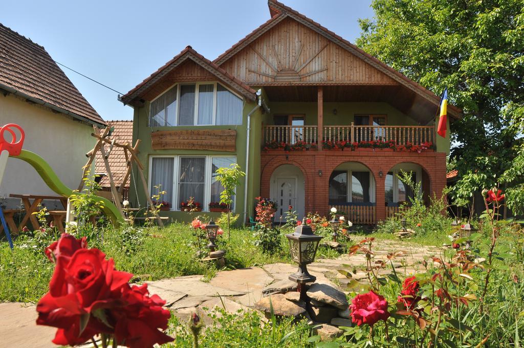 Pensiune Muzeu Traditional Poveste In Transilvania 锡吉什瓦拉 外观 照片